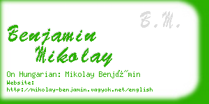 benjamin mikolay business card